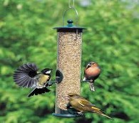 Bird feeders tables wild seed feed garden